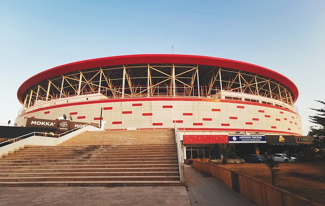 配合也发挥 配合也发挥