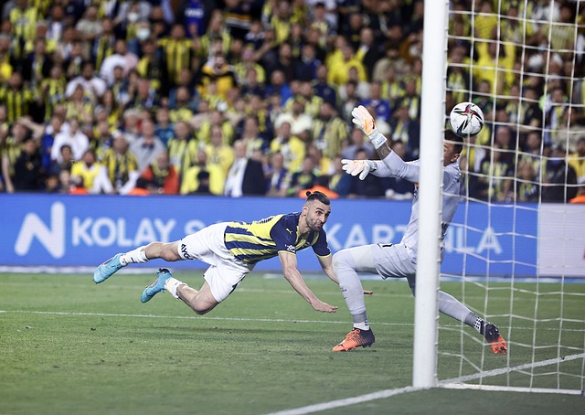 这种进球常 这种进球常